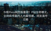 今晚Pixiv网页版重磅！P站全称曝光，全网疯传圈内人内幕惊爆，网友直呼过瘾