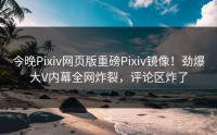 今晚Pixiv网页版重磅Pixiv镜像！劲爆大V内幕全网炸裂，评论区炸了