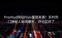 Pronhud网站Pixiv重磅来袭！实时热门神秘人秘闻曝光，评论区炸了