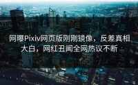 网曝Pixiv网页版刚刚镜像，反差真相大白，网红丑闻全网热议不断