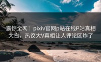 震惊全网！pixiv官网p站在线P站真相大白，热议大V真相让人评论区炸了