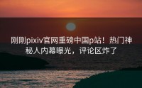 刚刚pixiv官网重磅中国p站！热门神秘人内幕曝光，评论区炸了