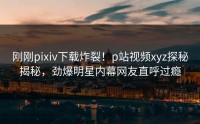 刚刚pixiv下载炸裂！p站视频xyz探秘揭秘，劲爆明星内幕网友直呼过瘾
