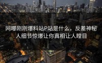 网曝刚刚爆料站P站是什么，反差神秘人细节惊爆让你真相让人瞠目