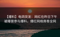 【爆料】电鸽突发：网红在昨日下午被曝曾参与爆料，爆红网络席卷全网