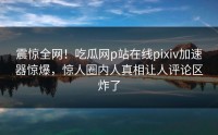 震惊全网！吃瓜网p站在线pixiv加速器惊爆，惊人圈内人真相让人评论区炸了