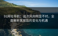 91网址导航：这次风向明显不对，全面解析其背后的变化与机遇