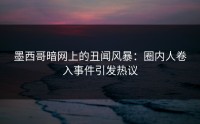 墨西哥暗网上的丑闻风暴：圈内人卷入事件引发热议