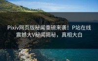 Pixiv网页版秘闻重磅来袭！P站在线震撼大V秘闻揭秘，真相大白