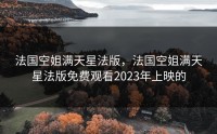 法国空姐满天星法版，法国空姐满天星法版免费观看2023年上映的