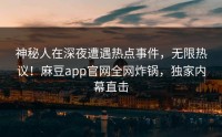 神秘人在深夜遭遇热点事件，无限热议！麻豆app官网全网炸锅，独家内幕直击
