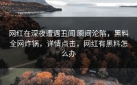 网红在深夜遭遇丑闻 瞬间沦陷，黑料全网炸锅，详情点击，网红有黑料怎么办
