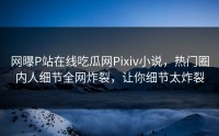 网曝P站在线吃瓜网Pixiv小说，热门圈内人细节全网炸裂，让你细节太炸裂