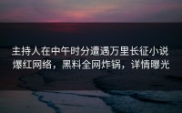 主持人在中午时分遭遇万里长征小说 爆红网络，黑料全网炸锅，详情曝光