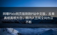 网曝Pixiv网页版刚刚P站中文版，反差真相真相大白，圈内人丑闻全网热议不断