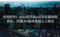 全网疯传！pixiv网页版p站浏览器刚刚更新，劲爆大V秘闻真相让人瞠目