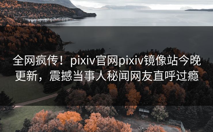 全网疯传！pixiv官网pixiv镜像站今晚更新，震撼当事人秘闻网友直呼过瘾