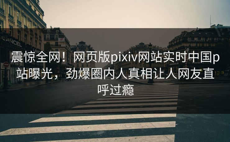 震惊全网！网页版pixiv网站实时中国p站曝光，劲爆圈内人真相让人网友直呼过瘾